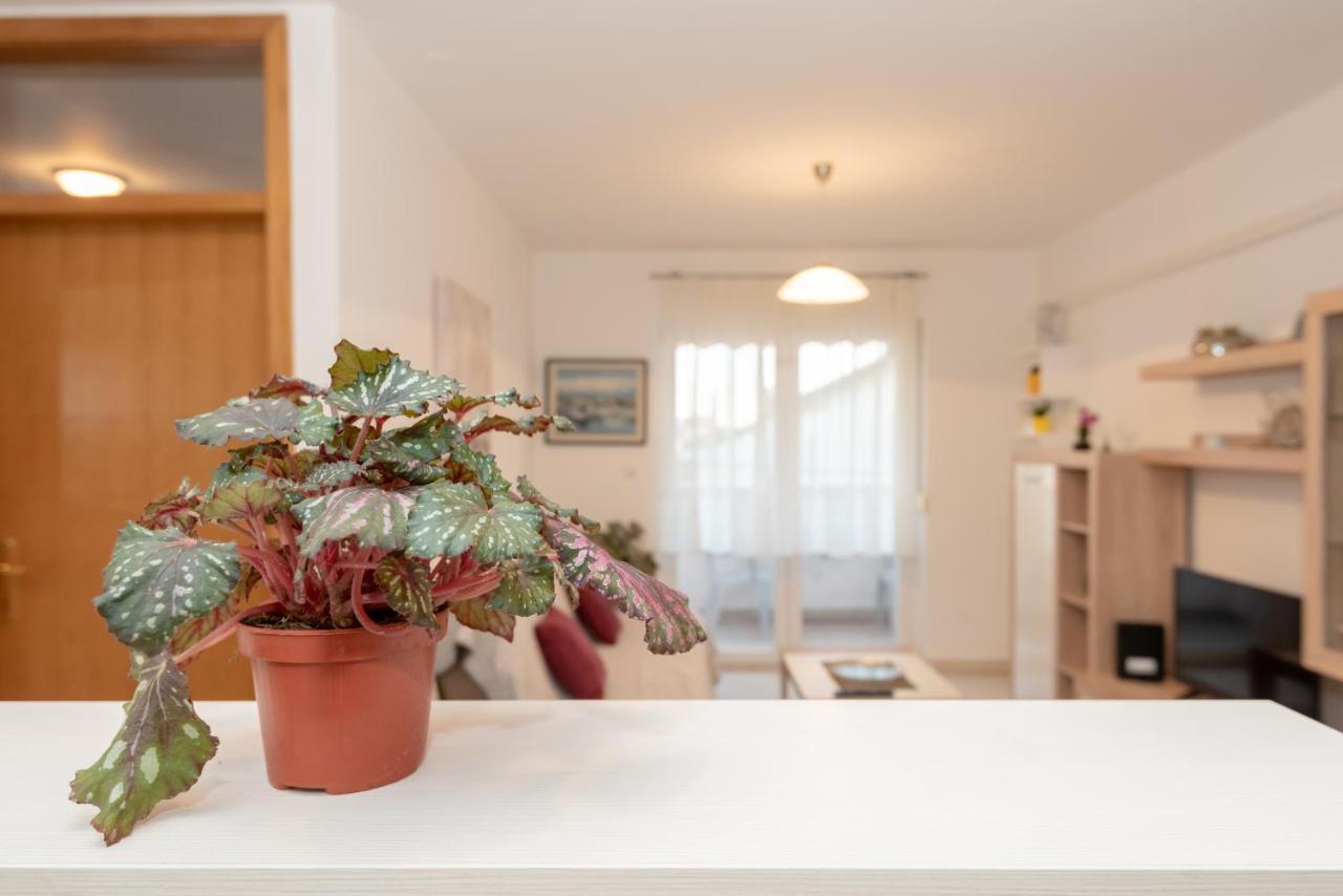 Apartman Valter Zadar Exteriér fotografie